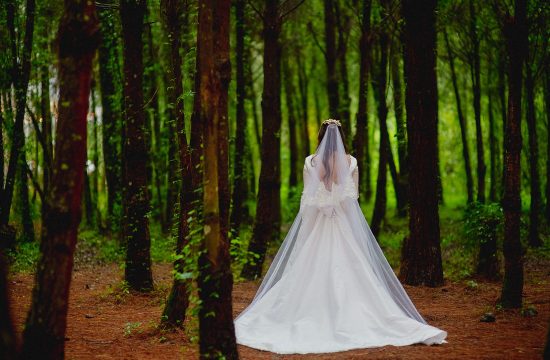Boda en el bosque